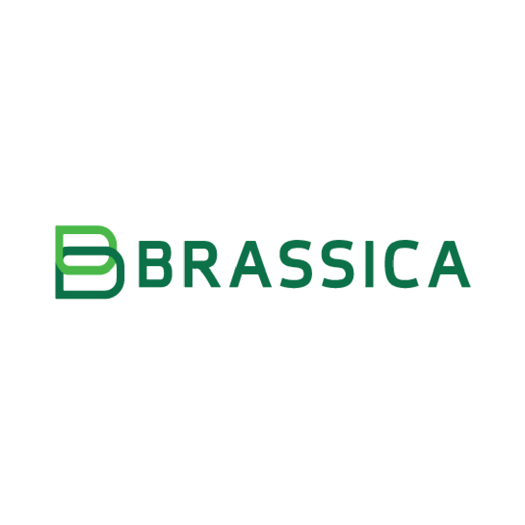 brassica